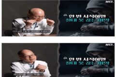 흡연자 중 본인 의지로 금연하는 비율