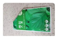 어느 성격급한 사람의 깻잎키우기