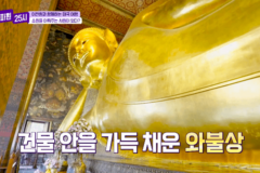 증말 주책인 한국방송에서 활동하는 외국인들