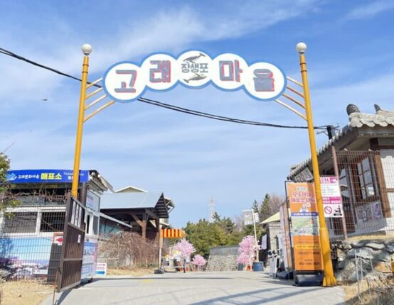 울산 가볼 만한곳 장생포 문화마을 탐방