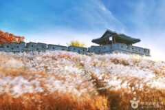 수원 역사를 담은 산책 가볼 만한 명소
