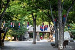 용인가볼만한곳, 가족 맞춤형 여름 여행지