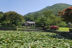 [포토] 한 폭의 풍경화 같은 진도 운림산방