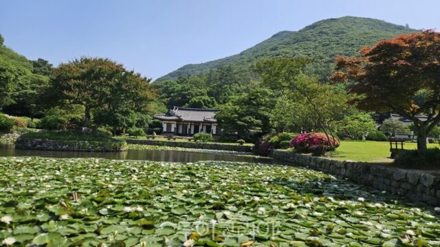 [포토] 한 폭의 풍경화 같은 진도 운림산방
