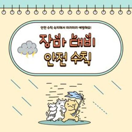 2025 장마 대비 가이드 | 최장 기간의 장마, 제대로 준비하자