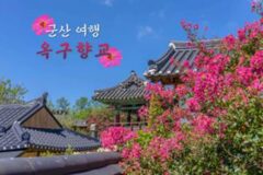 “조선시대 정취와 배롱나무 꽃” 옥구향교, 군산 가볼 만한 곳 추천