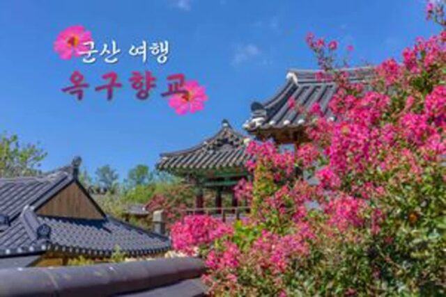 “조선시대 정취와 배롱나무 꽃” 옥구향교, 군산 가볼 만한 곳 추천