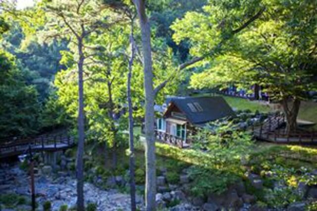 용인 가볼 만한 곳 베스트 5 볼거리, 즐길 거리, 먹거리까지 완벽한 용인 여행!