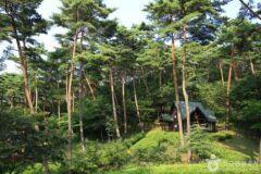 숲나들e 하나면 끝, 휴양림 예약부터 여행정보까지
