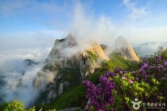 서울 근교 산행지, 북한산 주요 등산코스 정리