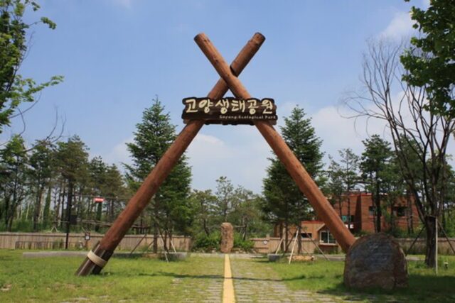 가족과 함께 걷기 좋은 고양시 공원 나들이