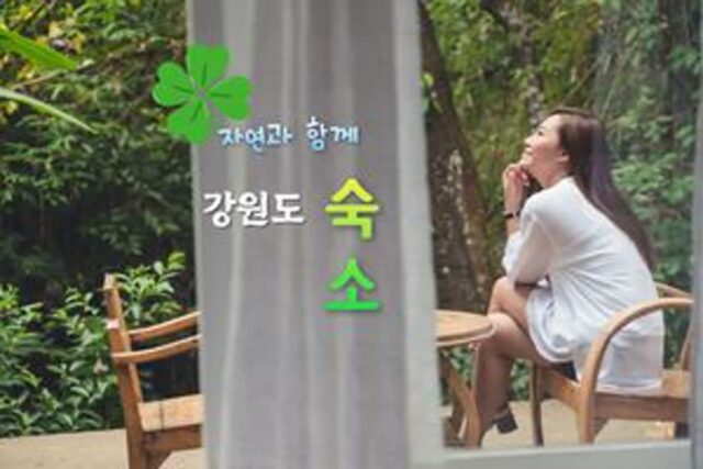 “외국 갈 돈으로 여기 가볼까?” 낭만 넘치는 강원도 숙소 TOP 4