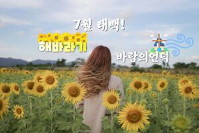7월 국내 여행지 추천으로 떠오르는 태백 여행 BEST 5