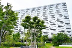 “일본 호텔비 올랐다며?” 타코야키+맥주 무제한 공짜, 가성비 넘치는 오사카 호텔 가보니