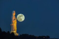 다낭 종교 건축의 매력, 사원·성당 명소 정리