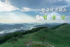 “30분이면 도착” 한국의 스위스, 능선 따라 민둥산 한 바퀴 (+민둥산 최단 코스 추천)
