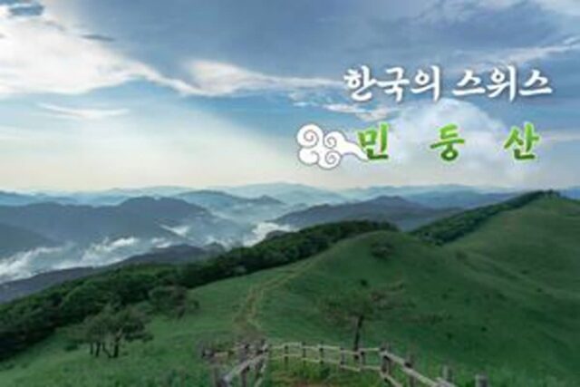 “30분이면 도착” 한국의 스위스, 능선 따라 민둥산 한 바퀴 (+민둥산 최단 코스 추천)