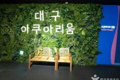 동대구역 근처 필수 코스, 백화점부터 아쿠아리움까지