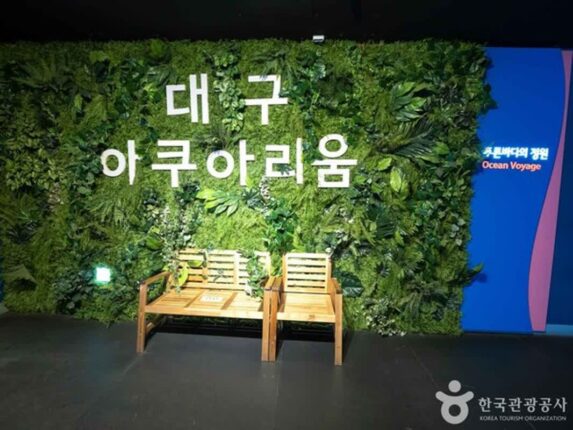 동대구역 근처 필수 코스, 백화점부터 아쿠아리움까지