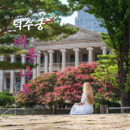 덕수궁 배롱나무, 이국적인 석조전 앞에서 만나는 100일의 낭만