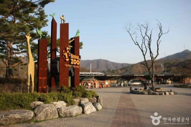 과천 가족 나들이 코스, 아이와 함께 즐기는 장소 총정리