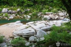 충청도 가볼 만한 곳, 시원한 계곡에서 여유로운 휴식 즐기기