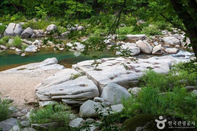 충청도 가볼 만한 곳, 시원한 계곡에서 여유로운 휴식 즐기기