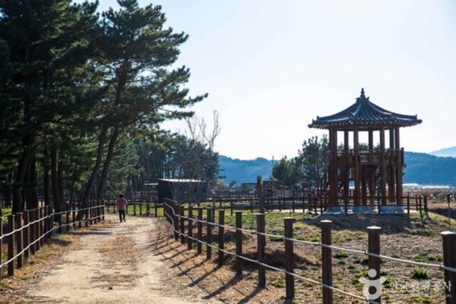 자연 속 여유, 울진 가볼 만한 공원 4곳