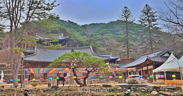 공주 가볼 만한 역사유적·명소 집중 탐방