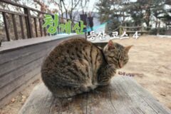 청계산 등산 코스! 남녀노소 온 가족이 오를 수 있는 서울 근교 등산 추천