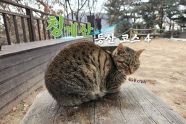 청계산 등산 코스! 남녀노소 온 가족이 오를 수 있는 서울 근교 등산 추천