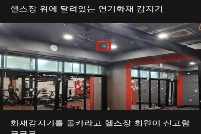 피해망상 있는 여자가 신고한 헬스장 사건