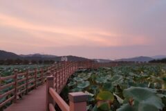 도심 속 힐링 산책코스, 구미 가볼 만한 공원 4곳