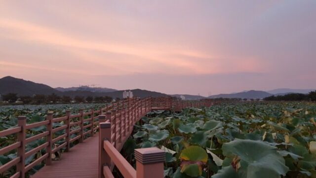 도심 속 힐링 산책코스, 구미 가볼 만한 공원 4곳