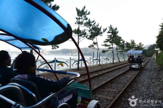 바다·하늘·육지 모두 즐기는 액티비티, 삼척 가볼 만한 곳