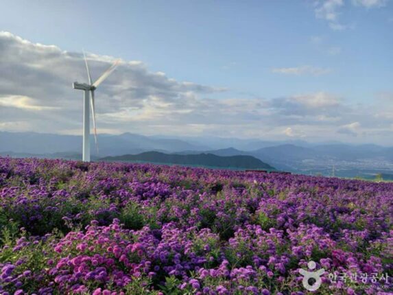 산과 함께 떠나는 자연여행, 거창 가볼 만한 곳