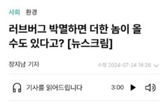 러브버그가 급증한 이유 그리고 왜 방역하지 말자고 하나