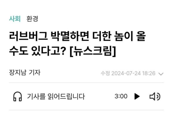 러브버그가 급증한 이유 그리고 왜 방역하지 말자고 하나