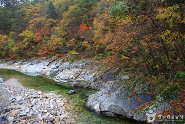 인제 가볼 만한곳, 여름철 계곡 여행 추천