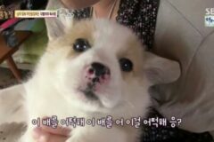 회사에서 추격전 일어남
