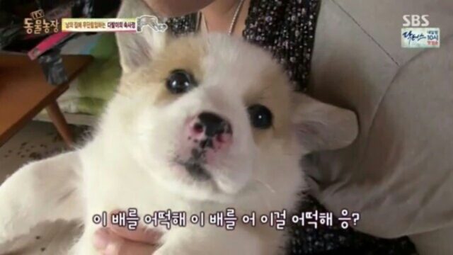 회사에서 추격전 일어남