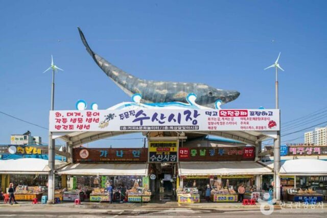 강원도 강릉 가볼 만한 곳, 먹거리·볼거리 함께 즐기는 시장 정리