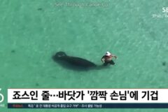 서로 혼비백산 개놀람