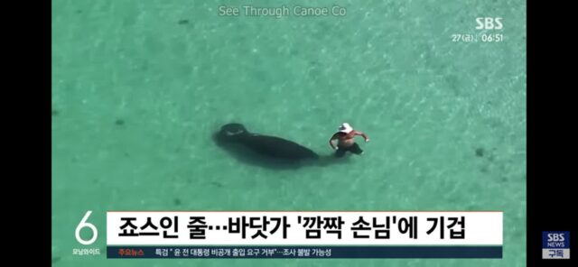 서로 혼비백산 개놀람