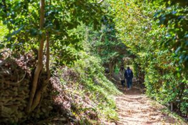 1박2일 다녀오기 좋은 전라도 여행지 3(+도시별 추천 여행 코스)