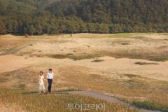 충남 태안 인생샷 남기기 좋은 포토 스팟 3곳