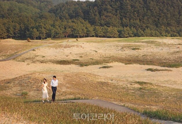 충남 태안 인생샷 남기기 좋은 포토 스팟 3곳