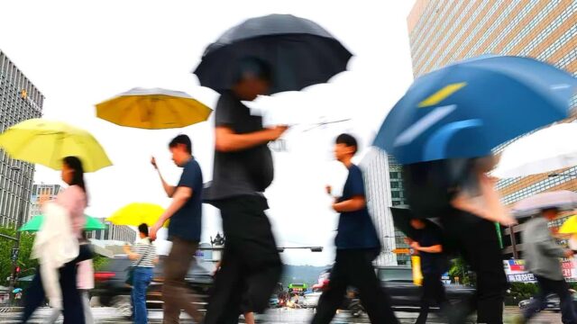 “장마철마다 사고 터지는 ‘길바닥 함정’” … 비 오는 날 ‘이 색깔’ 절대 밟으면 안 됩니다