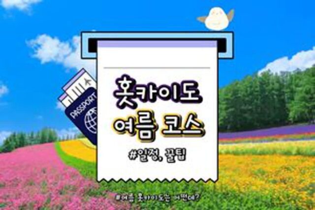 홋카이도 여름 여행 코스 추천 2025 Ver. (삿포로→후라노→오타루→하코다테)
