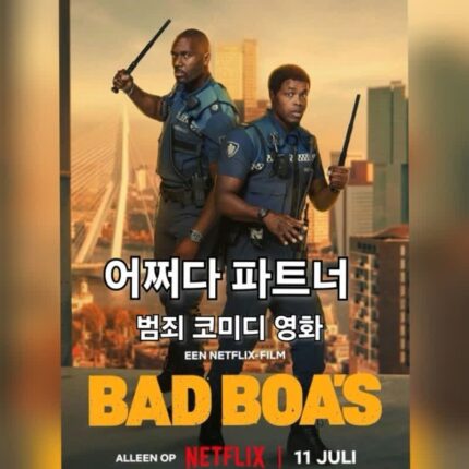 어쩌다 파트너 범죄 코미디 넷플릭스 영화